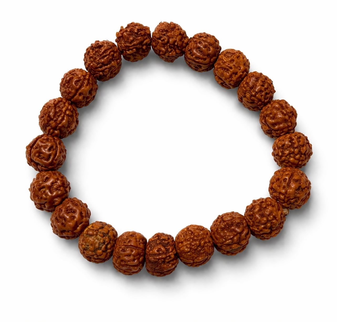 Rudraksha Japamala beads